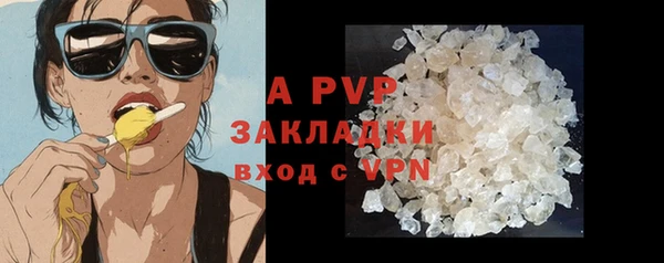 Альфа ПВП Верея