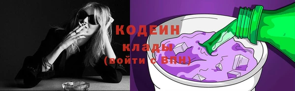 Альфа ПВП Верея